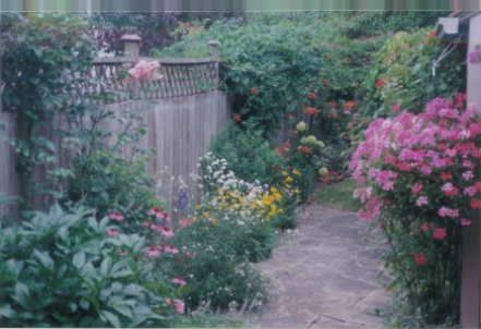 Room1