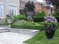 50 Yorkminster Rd, Toronto, M2P1M3 | Image 2