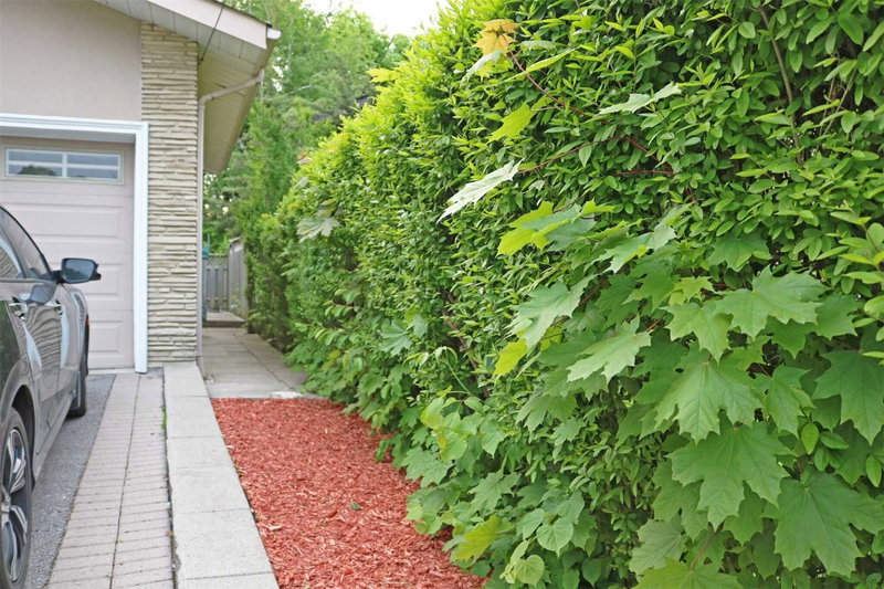 Lower - 332 Homewood Ave, Toronto, M2R2N8 | Image 2