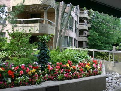 111 - 1210 Don Mills Rd, Toronto, M3B3N9 | Image 3