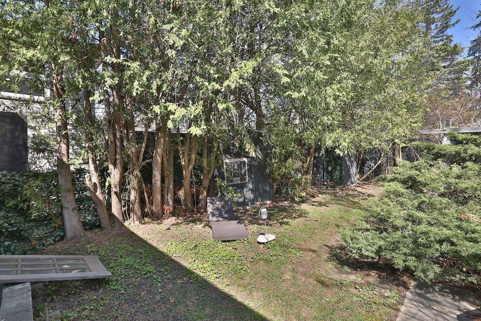 Image 19