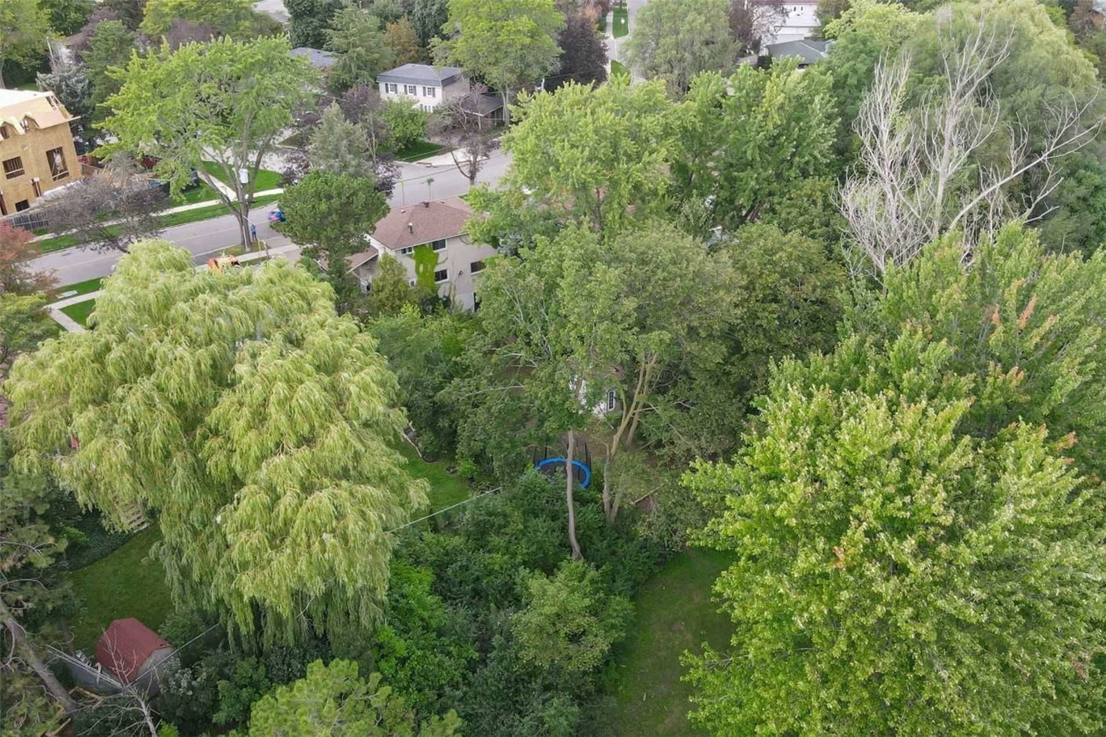 Image 12