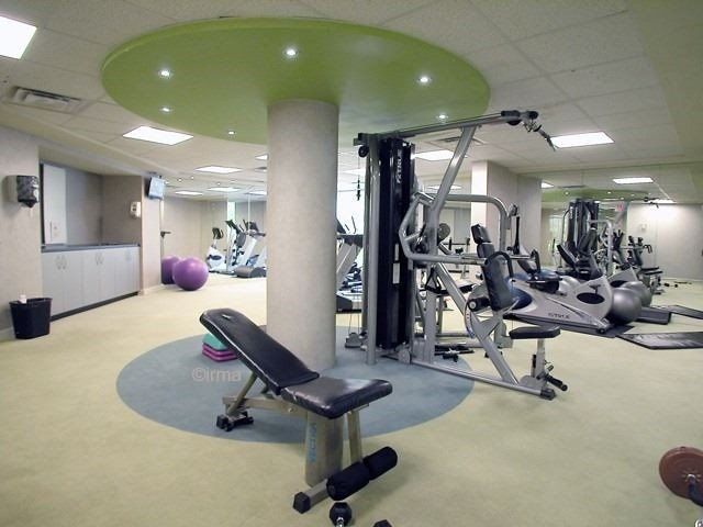 Image 12