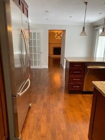 4 Silvergrove Rd, Toronto, M2L2N6 | Image 3