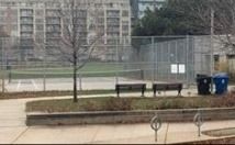 83-91B Walnut Ave, Toronto, M5V 2S1 | Image 2