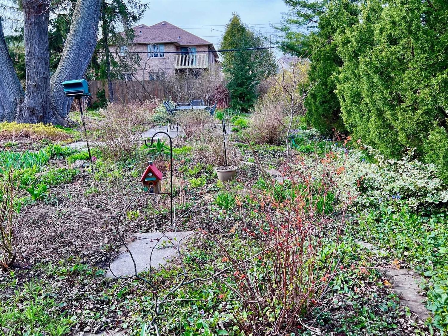 Image 19
