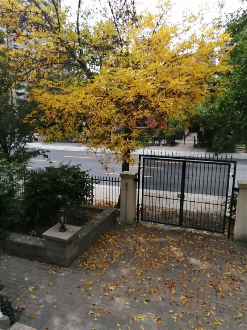 M6 - 539 Jarvis St, Toronto, M4Y2H7 | Image 3