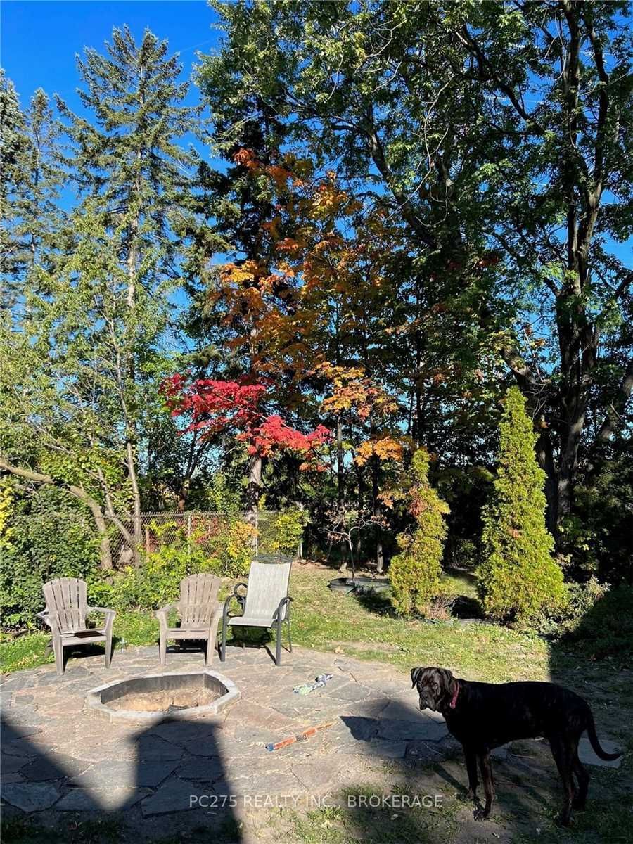 Listing Image 25
