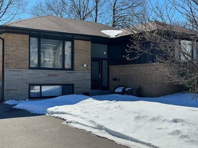 Detached House leased at Lower-111 Combe Avenue, Toronto, Bathurst Manor, M3H 4Y8 - MLS: C5972889