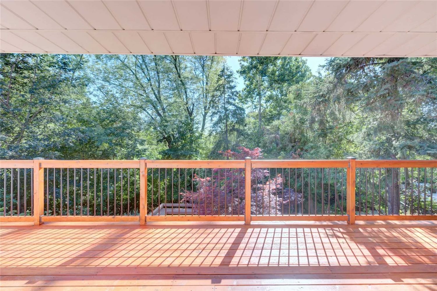 Image 32