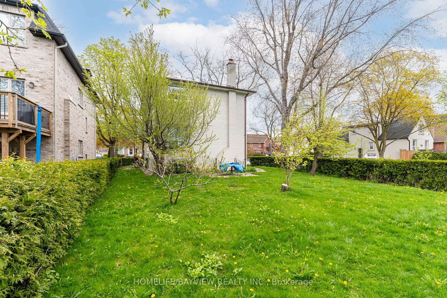 Listing Image 7