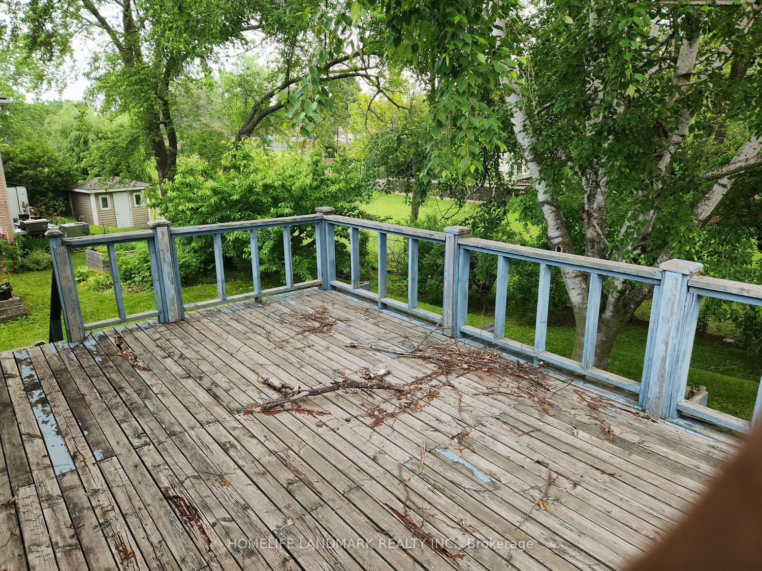 Listing Image 4