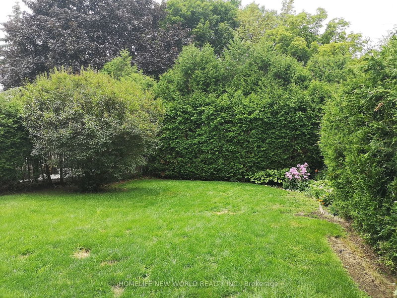 Bsmt - 8 Janus Crt, Toronto, M2H 1S4 | Image 2