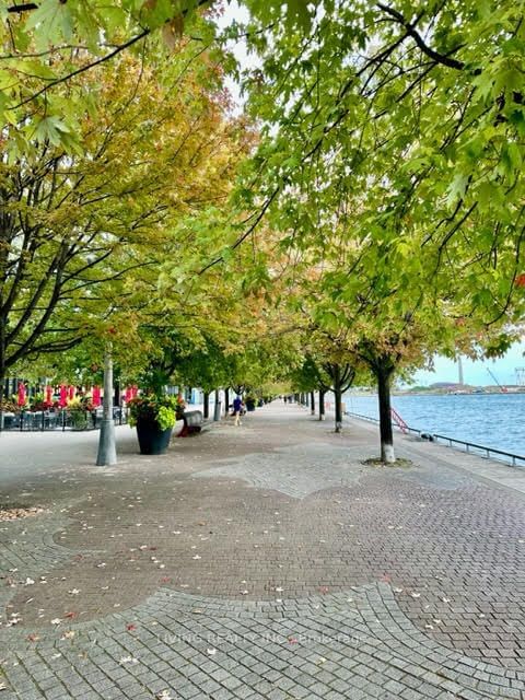 1043 - 15 Merchant's Wharf N/A