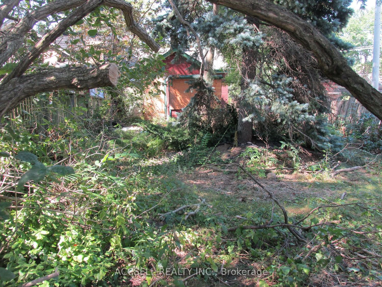 Listing Image 7