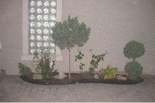 62 Northdale Rd, Toronto, M2L2M1 | Image 3