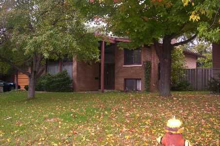 931 Willowdale Ave, Toronto, M2M3C3 | Image 2