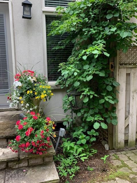 Listing Image 24