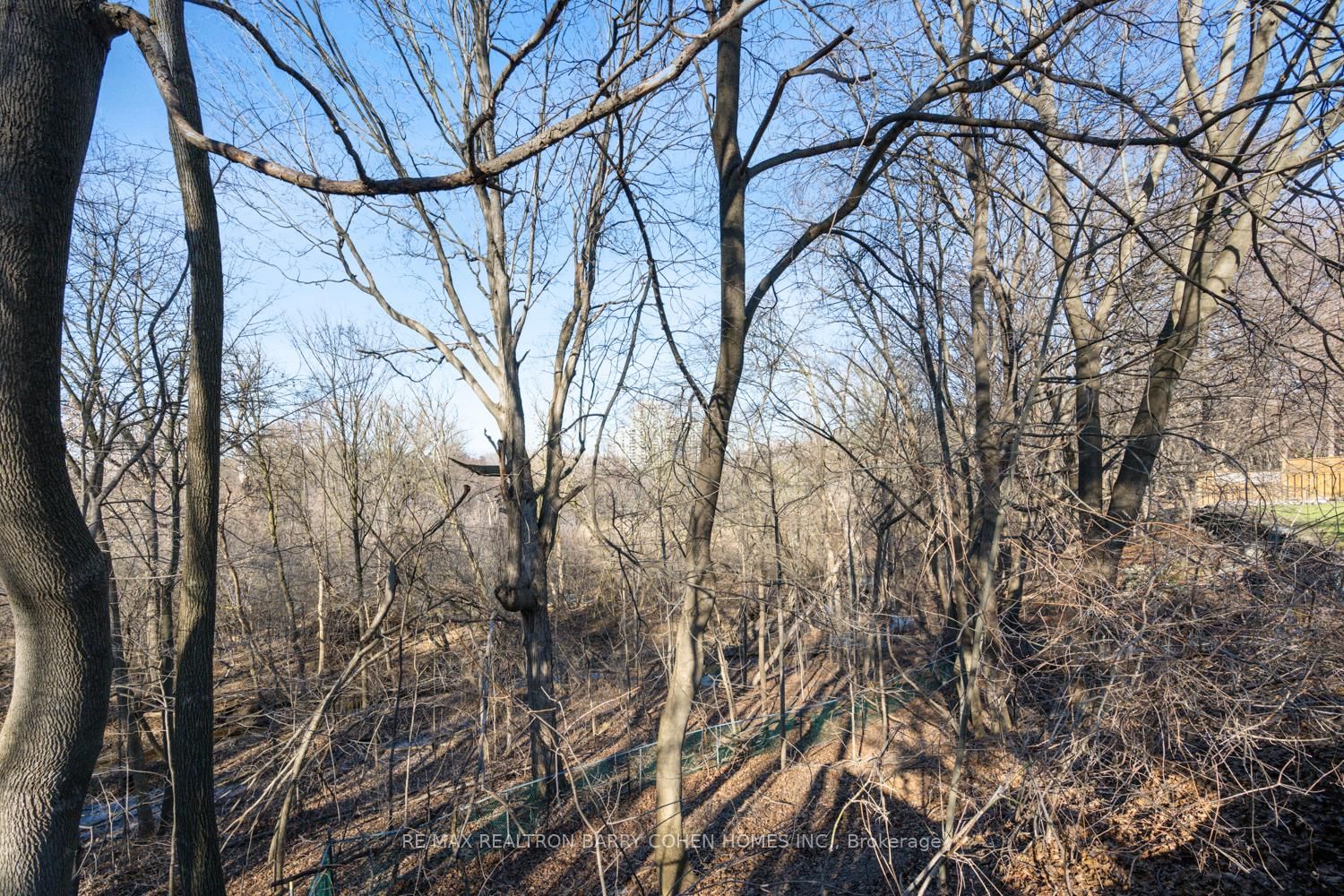 Listing Image 33