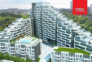 home for lease on 1004-25 Adra Grado Way