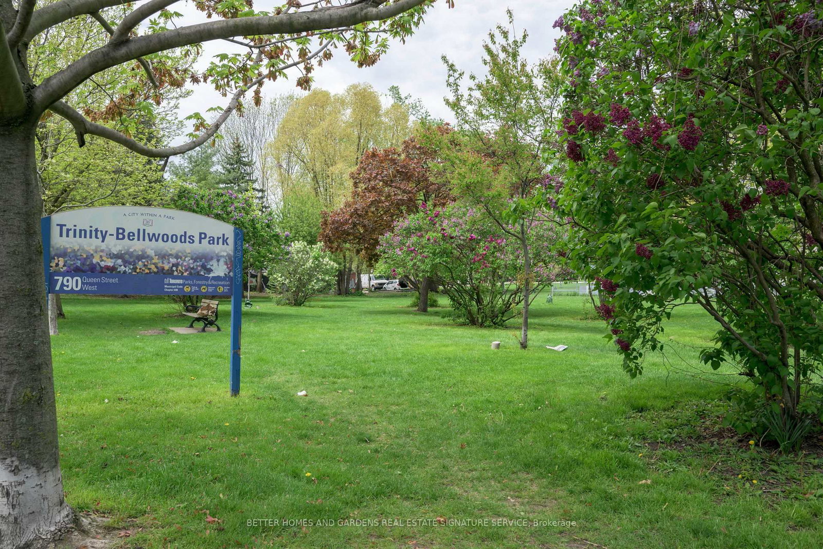 Listing Image 34