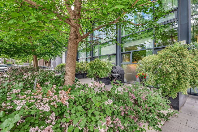 Th6 - 25 Stafford Street