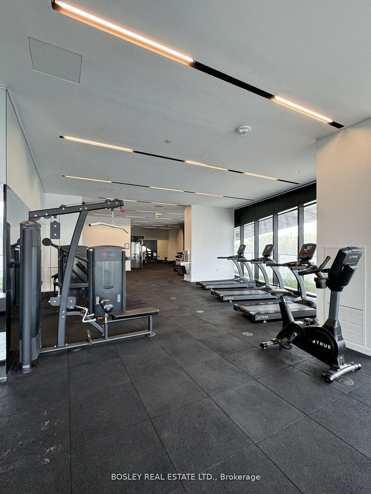 Image 21