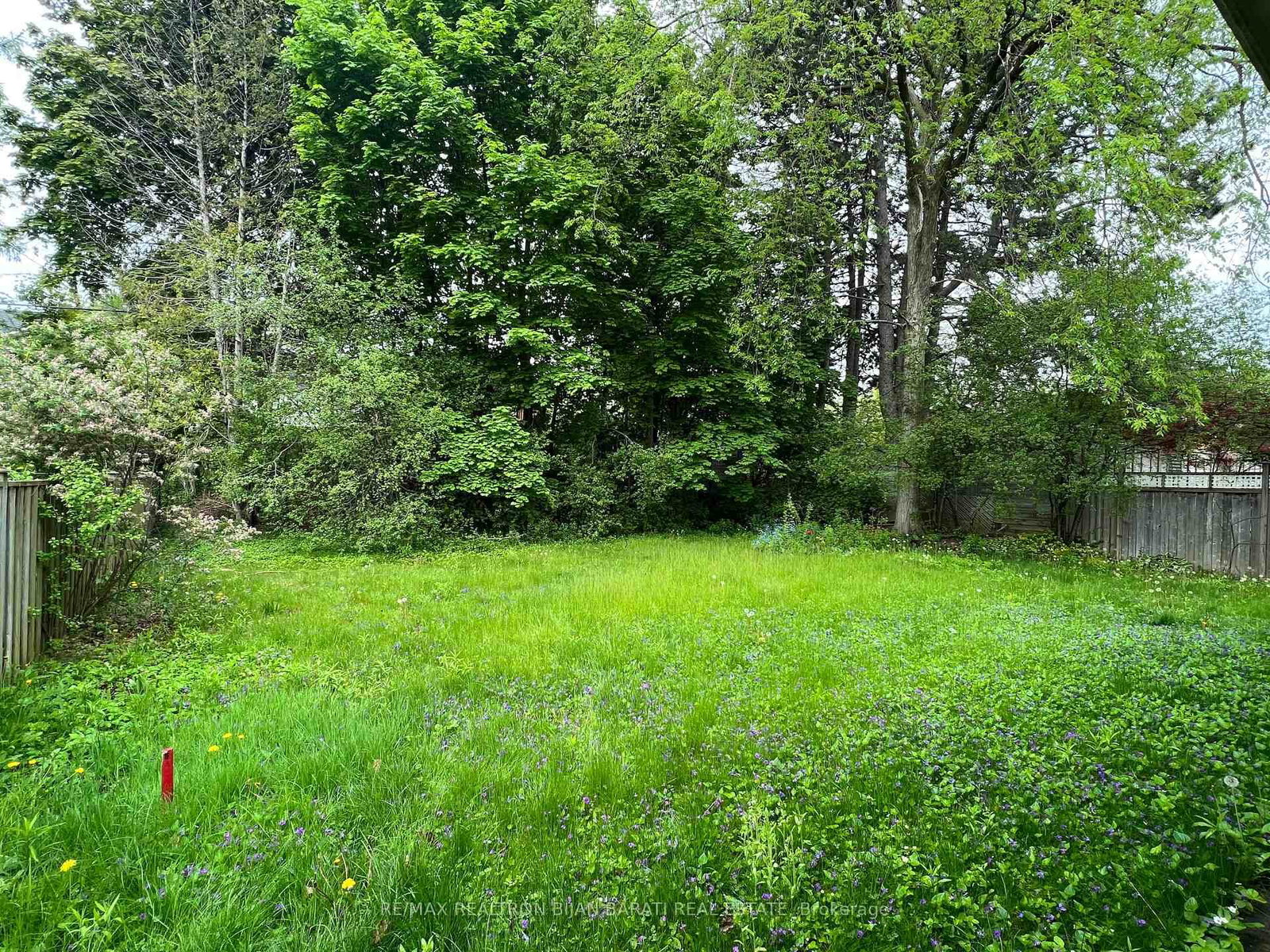Image 24