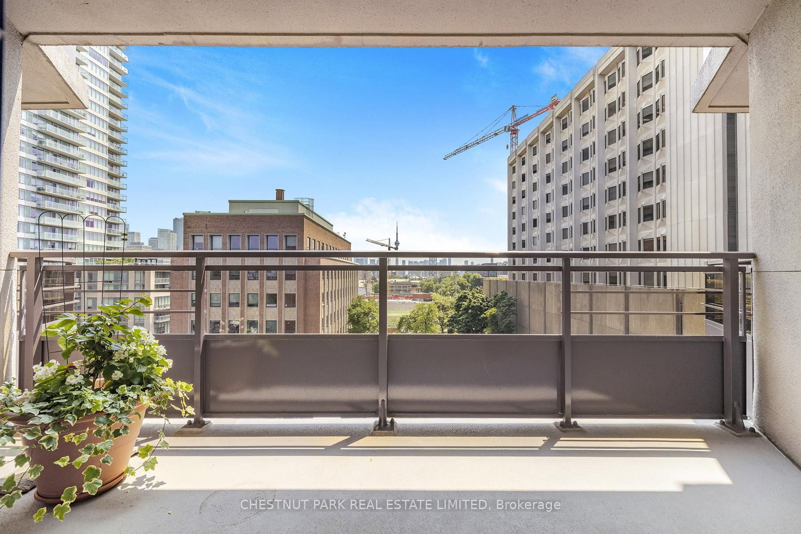 Listing Image 6