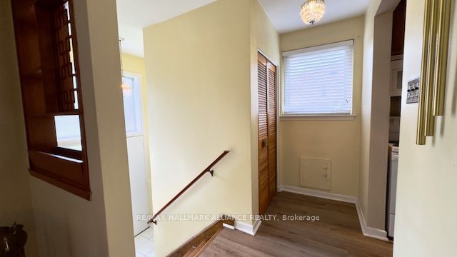 247 Woodsworth Rd  Toronto, M2L 2T5 | Image 4