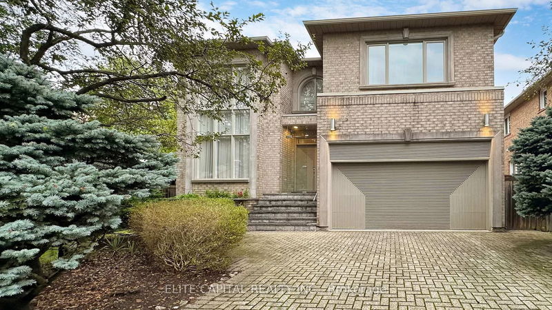 206 Alfred Ave, Toronto - Willowdale East image-0-0