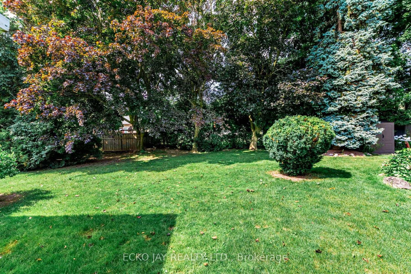Listing Image 22