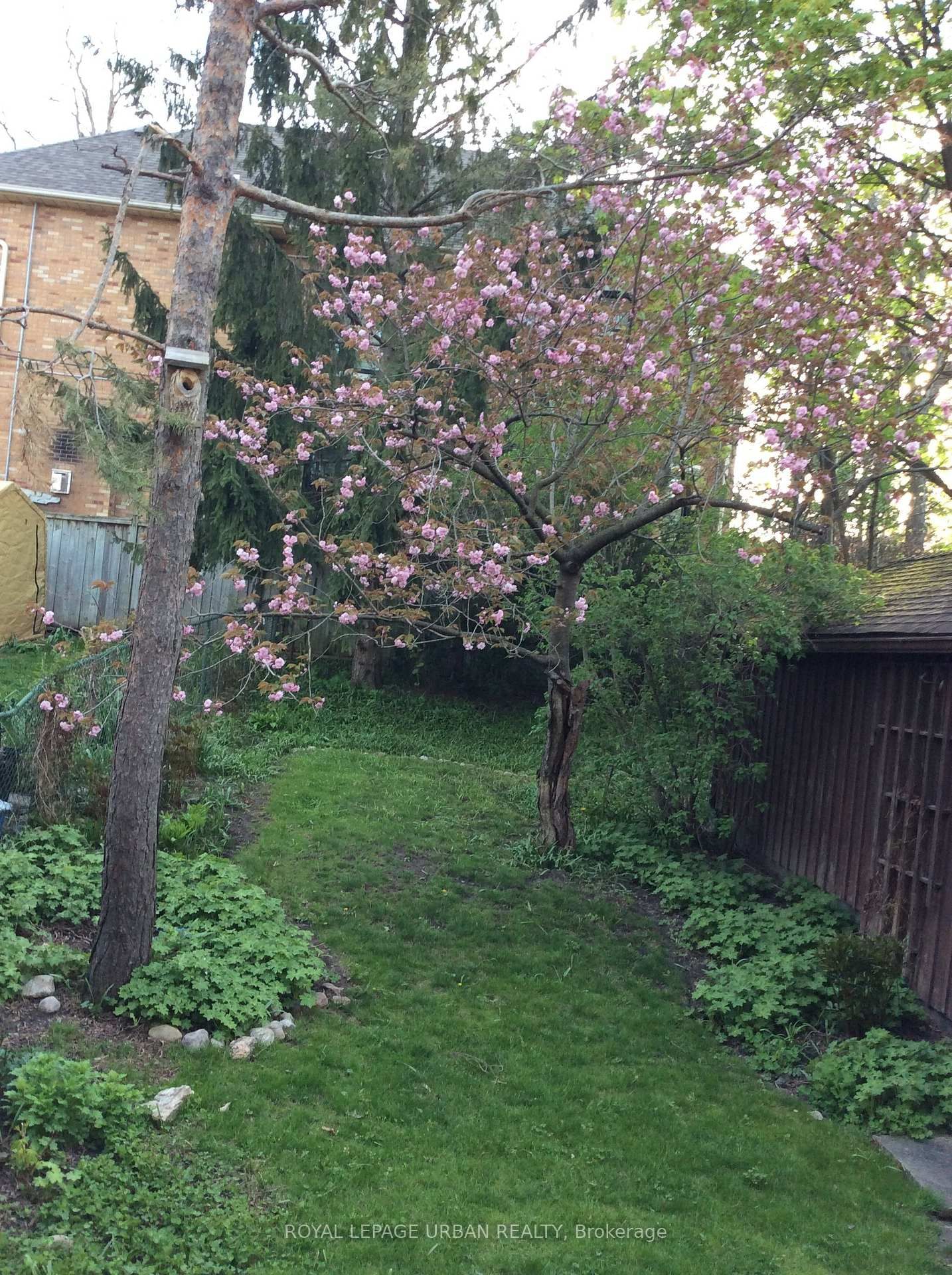 Listing Image 29