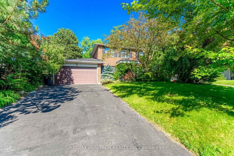 237 Old Yonge St, Toronto - St. Andrew-Windfields image-0-0