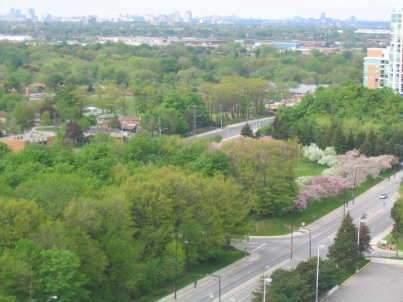 802A - 61 Town Centre Crt, Toronto, M1P5C5 | Image 3