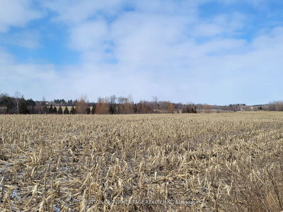 9760 Ashburn Rd, Whitby - Rural Whitby image-0-3