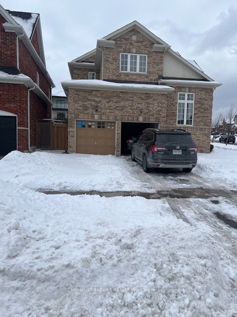 Detached House for lease at BSMT-805 Black Cherry Drive, Oshawa, Taunton, L1K 0P3 - MLS: E11967290