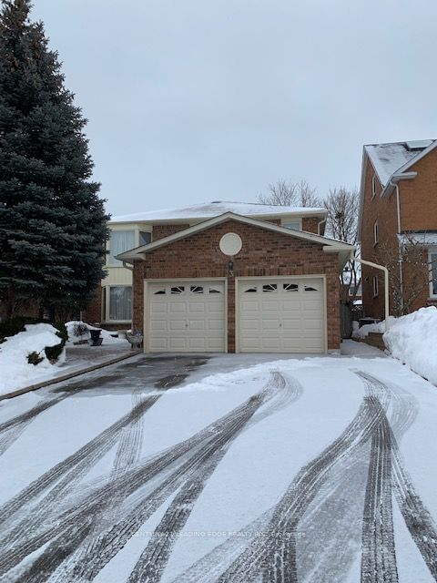 Detached House for lease at Bsmt-537 Sundown Crescent, Pickering, Woodlands, L1V 6A8 - MLS: E11969947