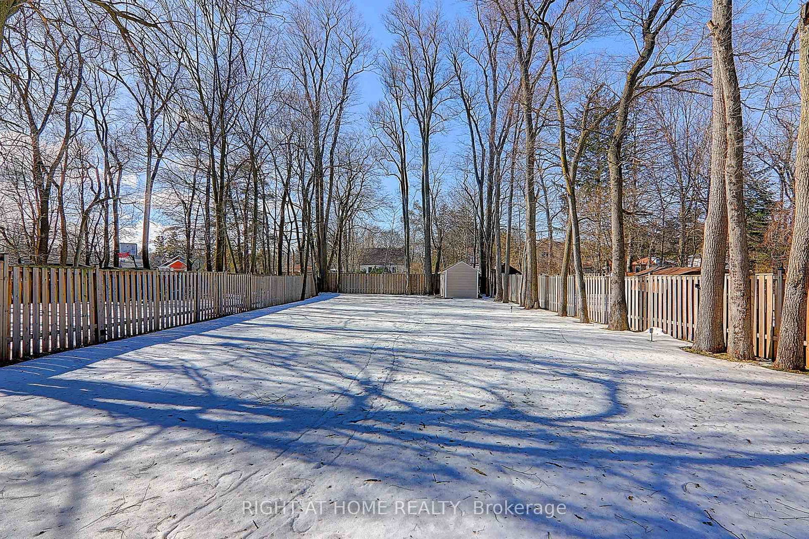Detached House for lease at Lower-36 Bobmar Road, Toronto, Highland Creek, M1C 1C9 - MLS: E12076514