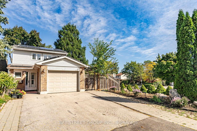 BSMT - 60 Big Red Avenue