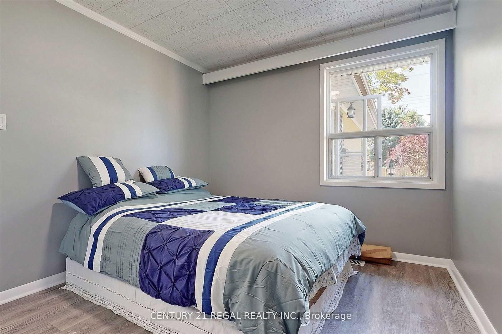 Detached House for lease at Main-5 Stevenvale Drive, Toronto, Woburn, M1G 1C6 - MLS: E12117400