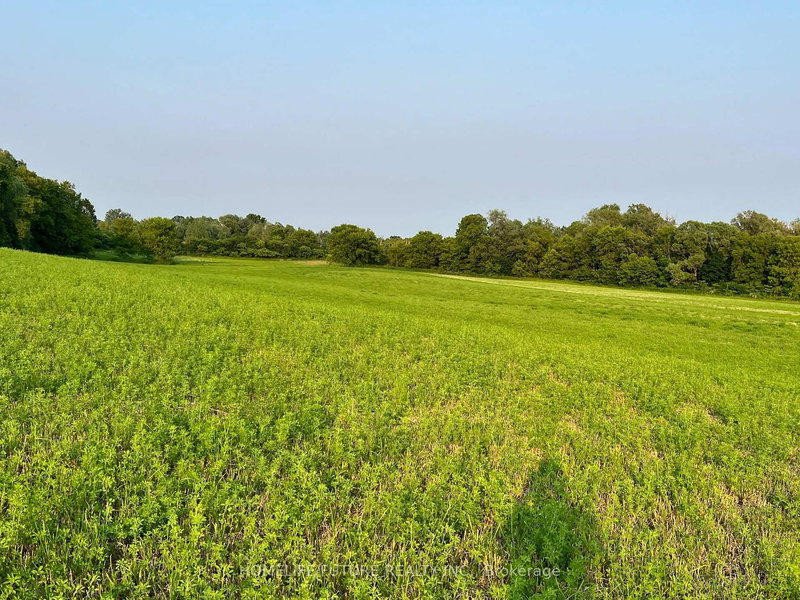 925 Townline Rd N, Clarington, L1H 8L7 | Image 2