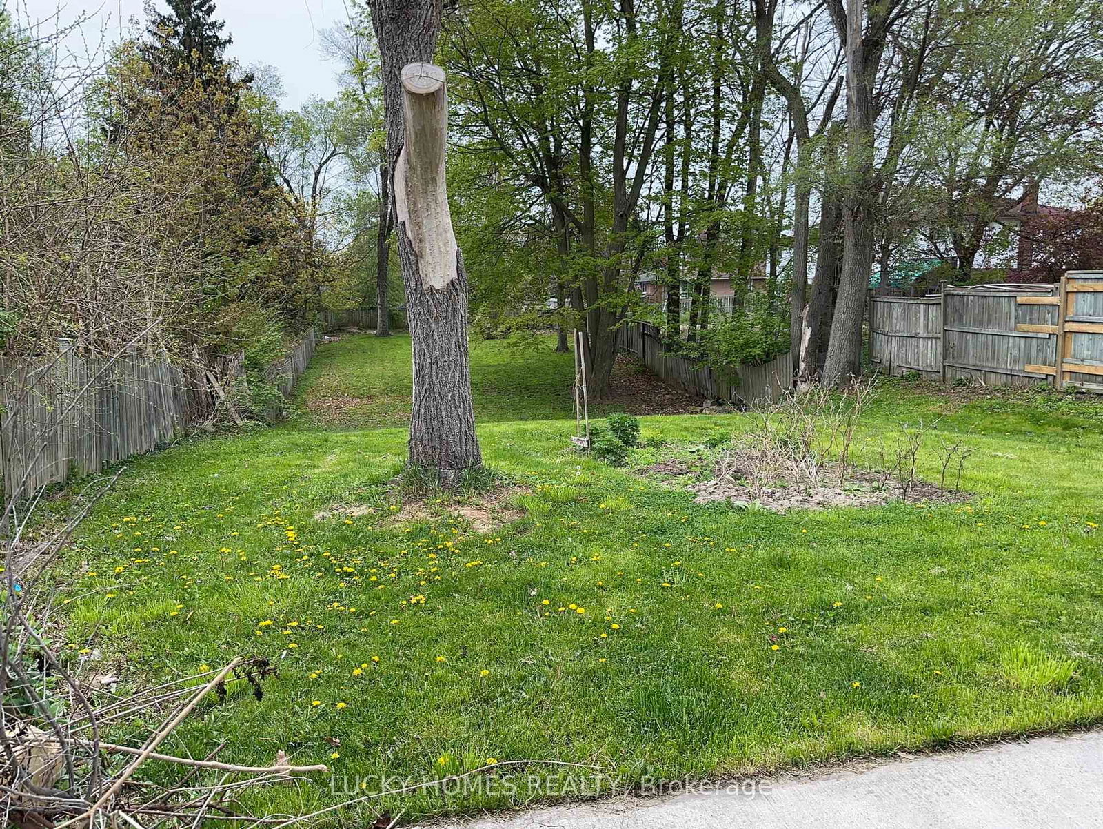 Detached House for sale at 4361 Lawrence Avenue, Toronto, West Hill, M1E 2T4 - MLS: E12150674