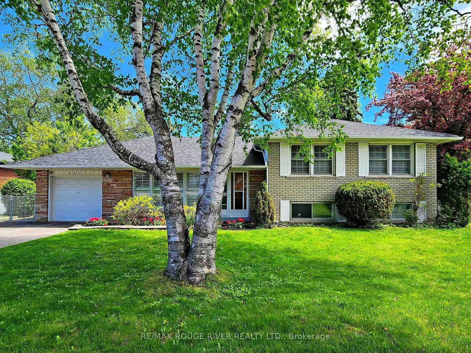 Detached House for sale at 237 Beechgrove Drive, Toronto, West Hill, M1E 3Z9 - MLS: E12160857