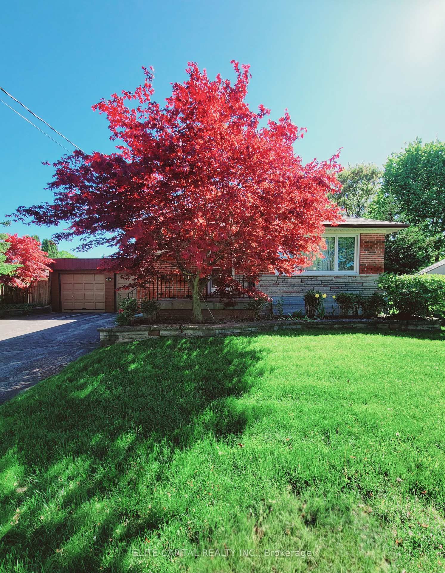 Detached House for sale at 16 Stokewell Place, Toronto, Bendale, M1P 3X2 - MLS: E12171181