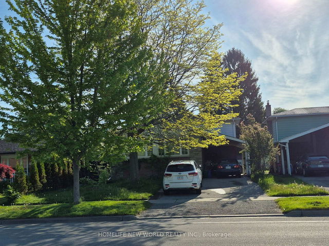 Main - 253 Waverly Street