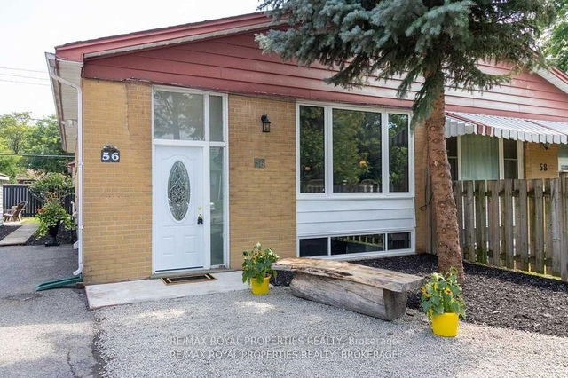 Basement - 56 Burcher Road