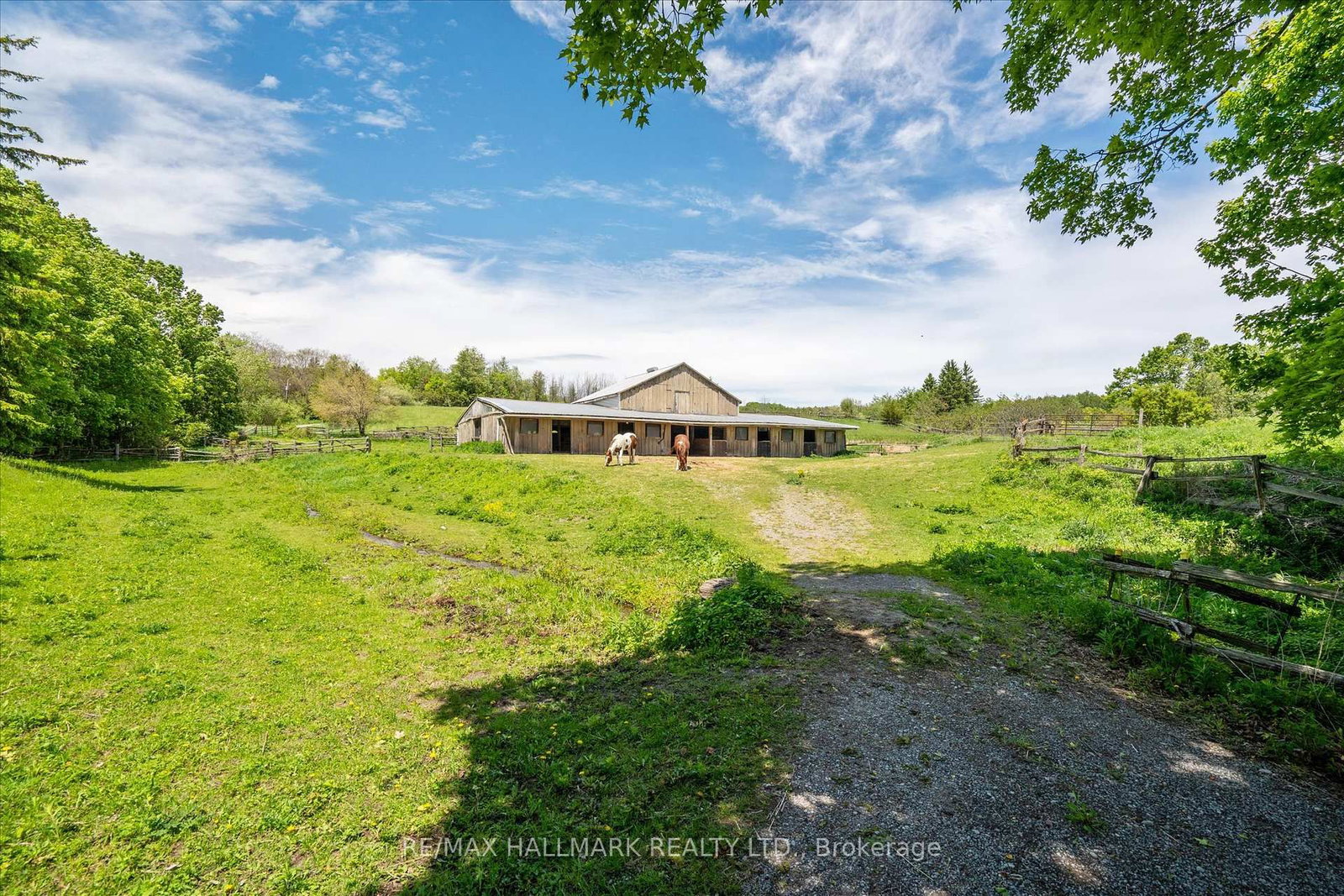 Listing Image 42