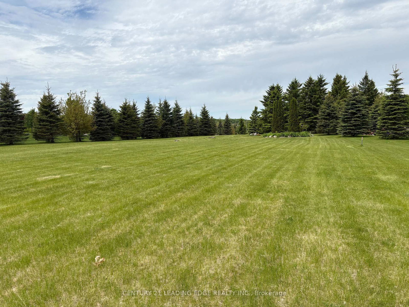 Property at 7 Clyde