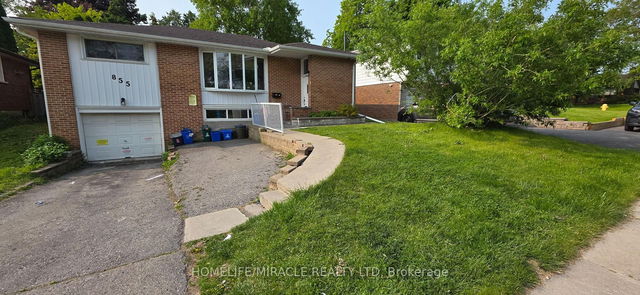 Bsmt - 855 Olive Avenue